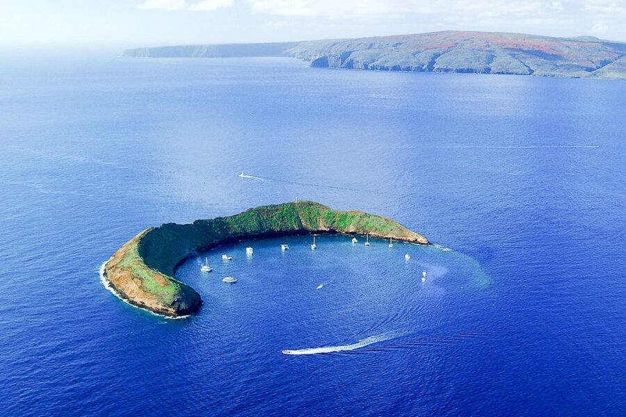 South Maui: Molokini & Turtle Town Snorkeling Tour with Meal - Molokini Crater: the snorkel stop with serious clarity and real fish