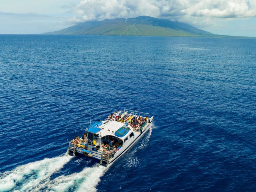 South Maui: Molokini & Turtle Town Snorkeling Tour with Meal - Timing, weather, and how the day can shift without breaking the fun