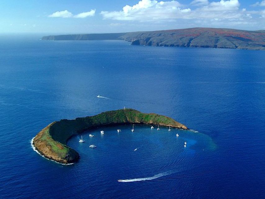 South Maui: Snorkel to Coral Gardens or Molokini Crater - Snorkeling Gear, Float Support, and What You Can Expect to See