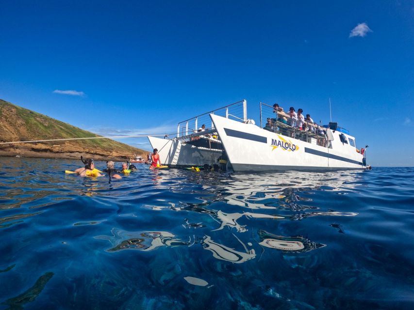 South Maui: Snorkel to Coral Gardens or Molokini Crater - Food and Drinks: Included Lunch plus Optional Adult Drinks
