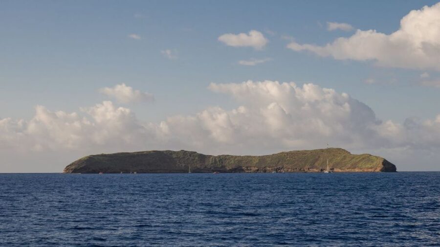 South Maui: Snorkel to Coral Gardens or Molokini Crater - Who This Trip Fits Best, and Who Should Skip It