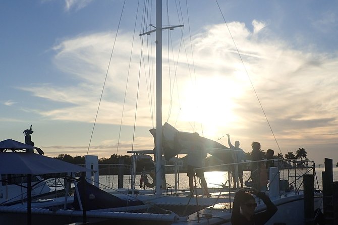 Southwest Florida Sunset Sail - Sanibel Island and the Sanibel Causeway: wildlife eyes on the horizon