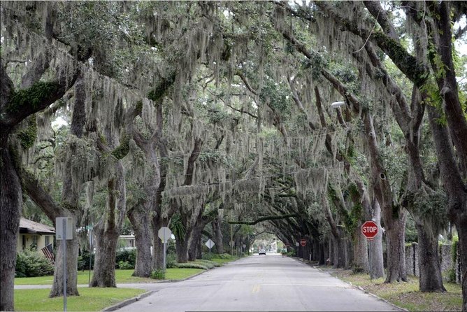 St. Augustine Hop-On Hop-Off Trolley Tour - Parking and Getting There When You’re Driving
