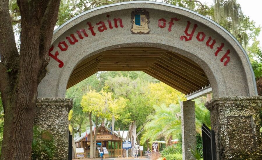St. Augustine: Hop-on Hop-off Trolley Tour with Museum Entry - What you get for around $39, and why it feels fair