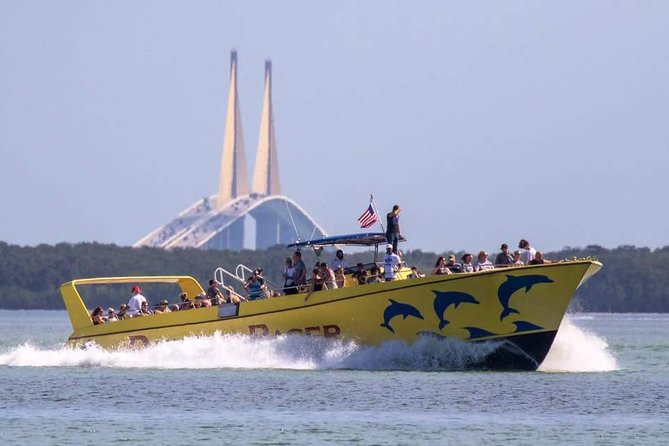 St. Pete Beach Dolphin Racer Adventure - St. Pete Beach Dolphin Racer: Why This Cruise Feels Like a Real-Time Wildlife Show