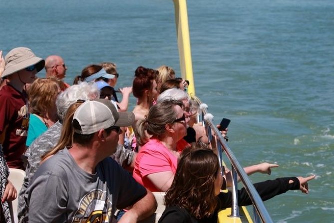 St. Pete Beach Dolphin Racer Adventure - Where Dolphins Show Up: Wake-Riding Tips That Actually Help