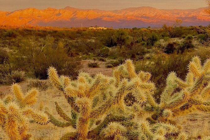 Stunning Sunset or Sunrise Guided Hiking Adventure in Phoenix - From Starbucks to the Trailhead, Then Up to the Viewpoint