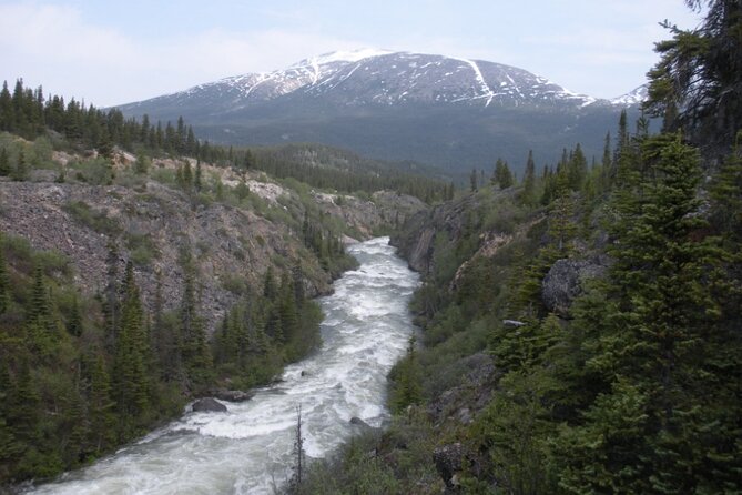 Summit Experience & Yukon Suspension Bridge Tour - Why This Bus Ride Beats the Skagway Train Day