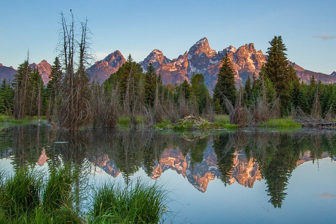 Sunrise 4-Hour Grand Teton Wildlife Adventure - Key things that make this sunrise safari worth your time