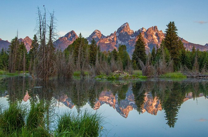 Sunrise 4-Hour Grand Teton Wildlife Adventure - Price and value: what you pay, what you get, what costs extra