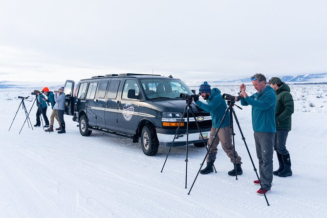 Sunrise 4-Hour Grand Teton Wildlife Adventure - Practical tips to get the most out of your sunrise safari