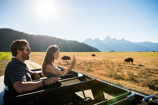 Sunset 4-Hour Grand Teton Wildlife Adventure - Stop-by-stop: how your guide turns sightings into learning