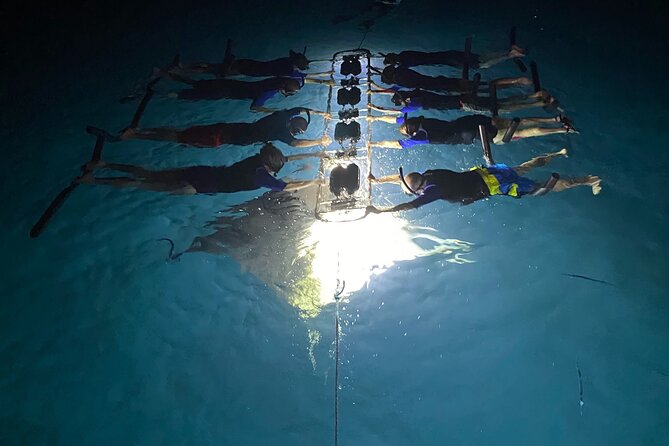 Sunset and Manta Ray Snorkel Adventure - Gear, drinks, and small comforts that matter