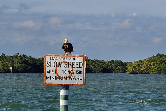 Sunset Dolphin Cruise with Sanibel Lighthouse Views - Where You Start at 450 Harbor Ct and Why It Matters