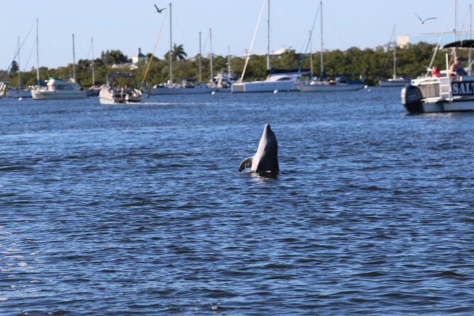 Sunset Dolphin Cruise with Sanibel Lighthouse Views - Mound House and 2,000 Years of Local History
