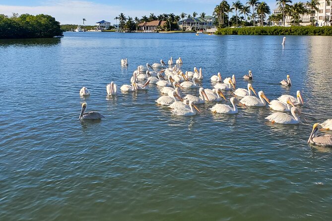 Sunset Dolphin Cruise with Sanibel Lighthouse Views - Bowditch Point for Sunset Views: Where the Cruise Really Builds