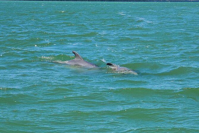 Sunset Dolphin Cruise with Sanibel Lighthouse Views - The 90 Minutes on Water: What the Ride Feels Like