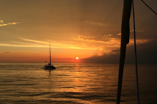 Sunset Dolphin Sail Aboard the Footloose Catamaran - Dolphin time on the Gulf: what “seek and find” looks like in real life