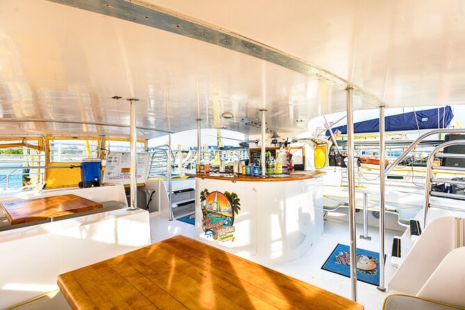 Sunset Dolphin Sail Aboard the Privateer Catamaran - Dolphins are the headline, but keep your eyes open for more