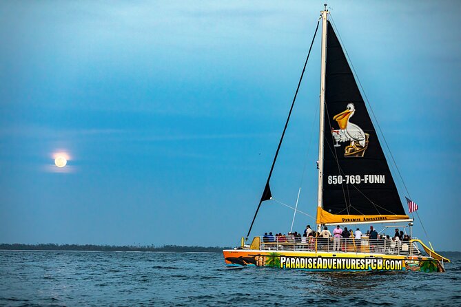 Sunset Dolphin Sail Aboard the Privateer Catamaran - The 2-hour flow on the water, from check-in to color-changing sky