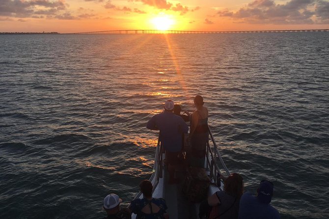Sunset Dolphin Watch Tour - Quick hits before you go