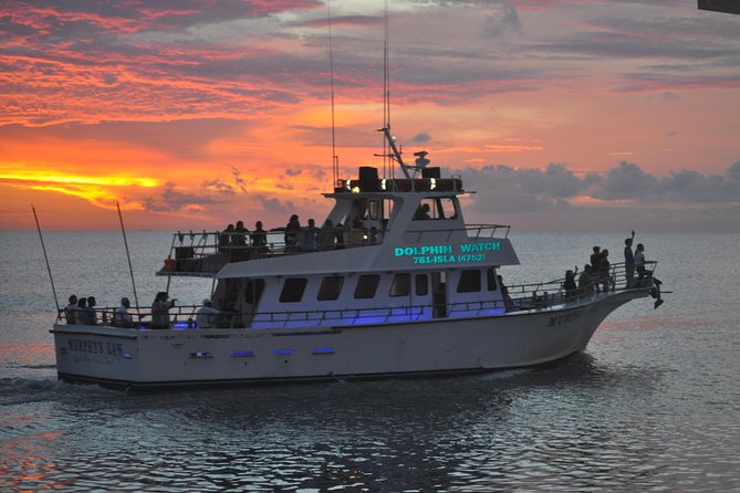 Sunset Dolphin Watch Tour - Live Onboard Narration That Makes the Gulf Make Sense
