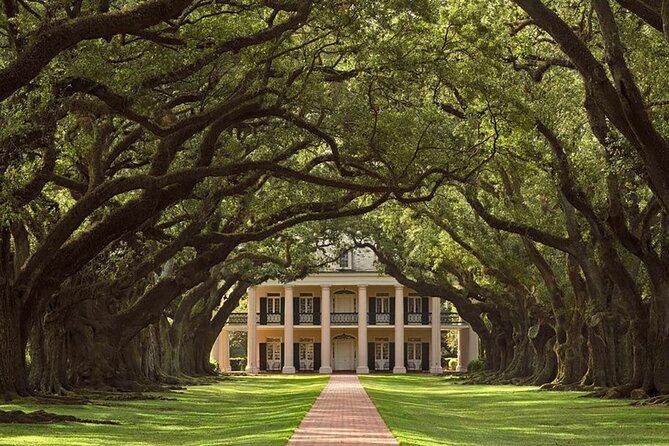 Swamp Boat Ride and Oak Alley Plantation Tour from New Orleans - Oak Alley Plantation: the 28-oak alley and what you can photograph