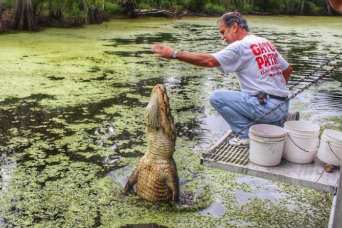Swamp Boat Ride and Oak Alley Plantation Tour from New Orleans - Destrehan Plantation option: indigo and sugarcane connections