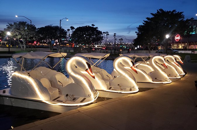 Swan Boat Rental at Rainbow Lagoon in Long Beach - What to bring: blanket picnic energy, minus the alcohol