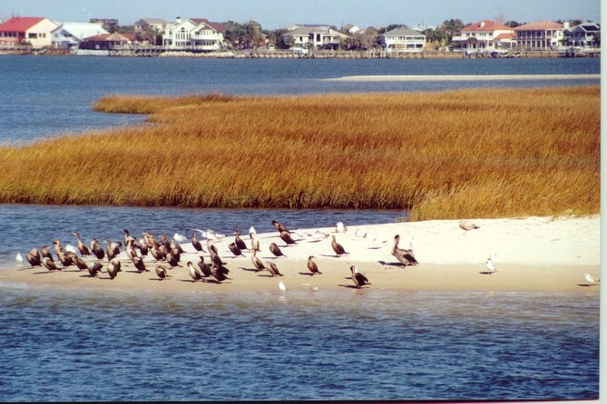 Take a Scenic Boat Ride in St. Augustine - Why this St. Augustine cruise makes sense for your itinerary