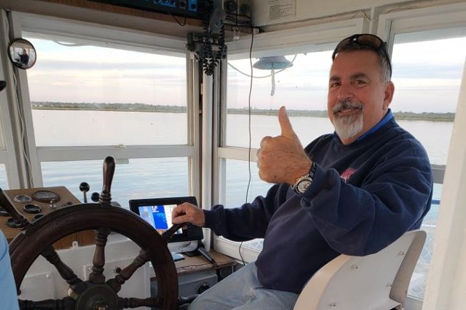 Take a Scenic Boat Ride in St. Augustine - Dolphins, birds, and a sea turtle: wildlife chances you can actually enjoy