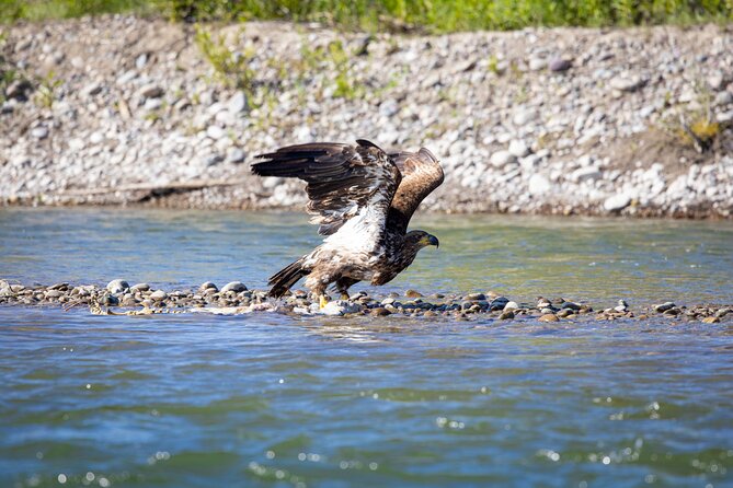 Tetons and Snake River Scenic Float Trip In Jackson Hole - Gear that’s included, and what you should pack anyway
