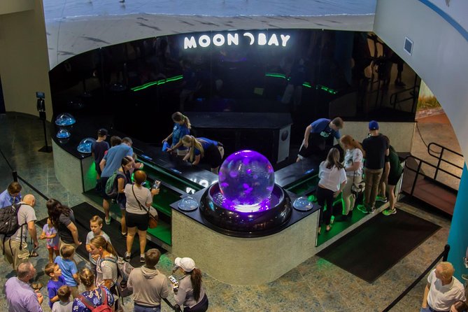 The Florida Aquarium in Tampa General Admission - Coral Reef Gallery: the ecosystem display most people aim for