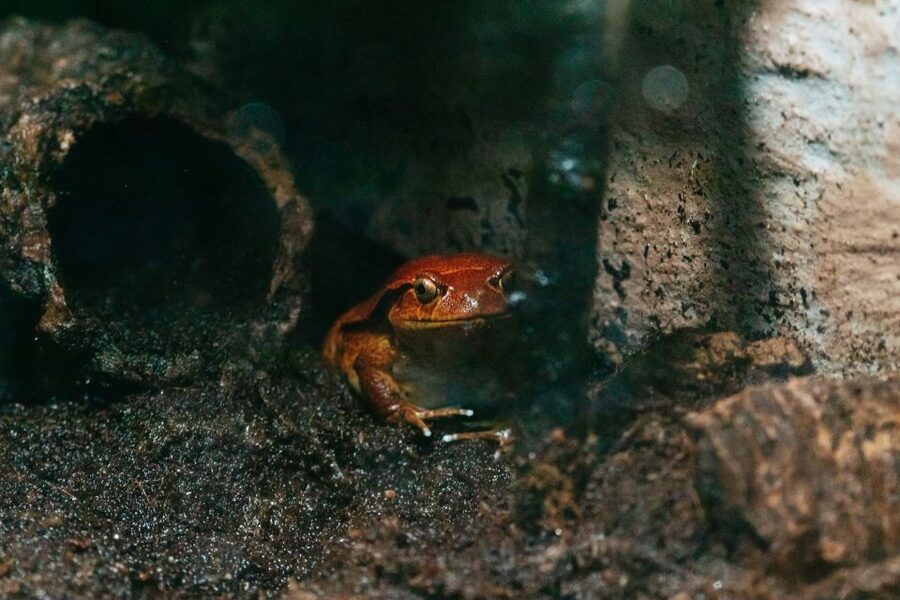 The Florida Aquarium Ticket - Tickets, Value, and Why Price Feels Different by Group