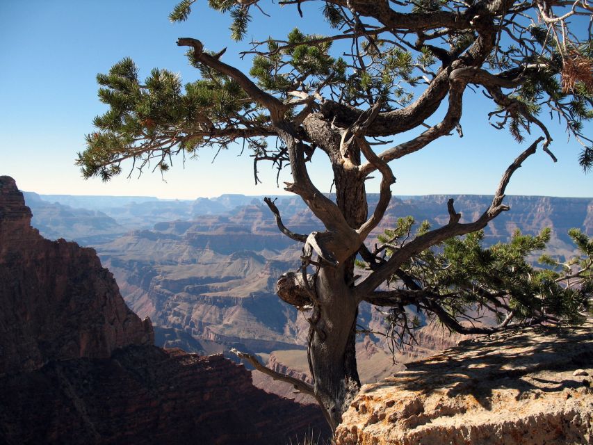The Grand Canyon Classic Tour From Sedona, AZ - The Sedona-to-Grand Canyon day starts with a scenic drive