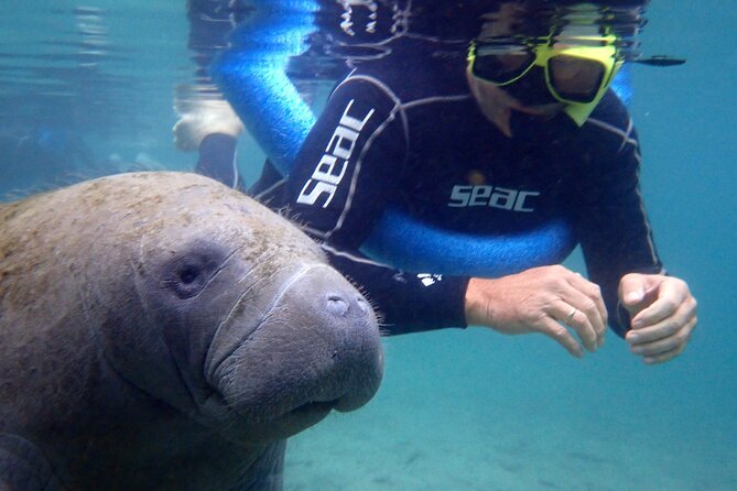 The 'OG' Manatee Snorkel Tour with In-Water Guide/Photographer - River Ventures check-in: wetsuit fitting and manatee rules in plain language
