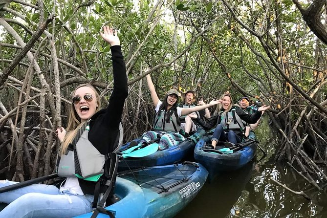 Thousand Island Mangrove Tunnel, Manatee & Dolphin Kayak Tour w/Cocoa Kayaking - Key points worth knowing before you paddle