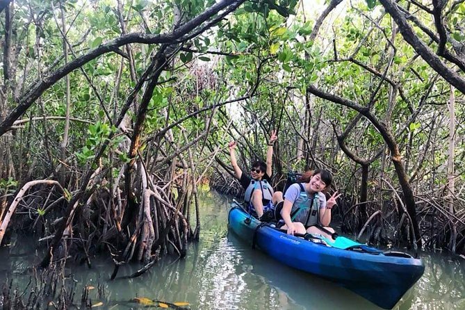 Thousand Island Mangrove Tunnel, Manatee & Dolphin Kayak Tour w/Cocoa Kayaking - Guides and small-group control: why the tour feels personal