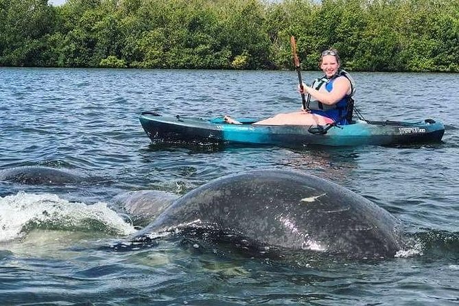 Thousand Island Mangrove Tunnel, Manatee & Dolphin Kayak Tour w/Cocoa Kayaking - Gear you can trust: Tarpon 120 kayaks, dry storage, and life jacket rules
