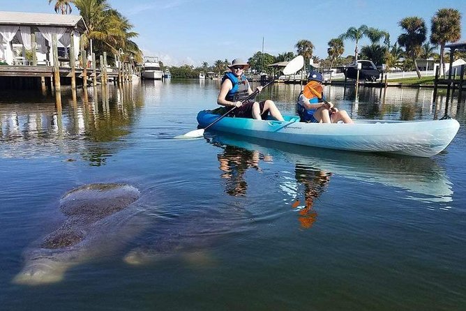 Thousand Island Mangrove Tunnel, Manatee & Dolphin Kayak Tour w/Cocoa Kayaking - Photo support within 48 hours: the hidden convenience