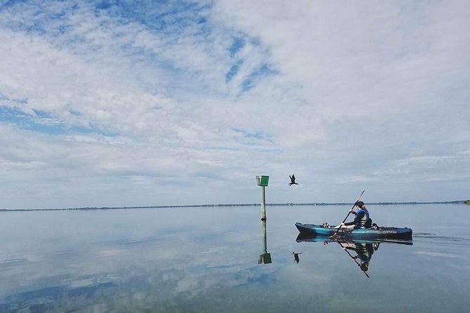 Thousand Island Mangrove Tunnel, Manatee & Dolphin Kayak Tour w/Cocoa Kayaking - What $69.08 buys you in real terms