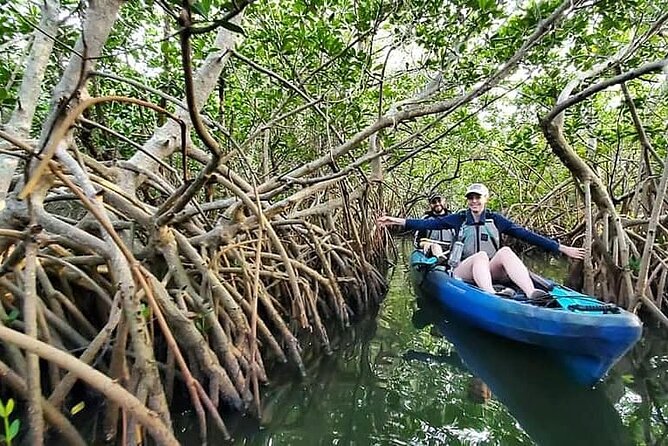 Thousand Island Mangrove Tunnel, Manatee & Dolphin Kayak Tour w/Cocoa Kayaking - A practical sense of the itinerary: stops that actually matter