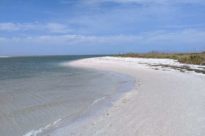 Three Hour Shelling Cruise to Shell Key Preserve from John's Pass - Starting Point at Madeira Beach: Easy to Find, Easy to Board