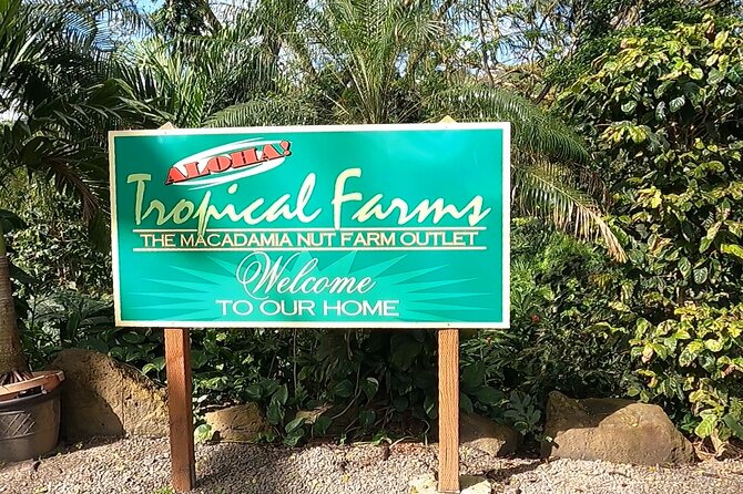 Tour of North Shore & Waimea Waterfall - Sunset Beach Swell Season and What to Expect at Waimea Valley