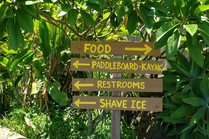 Tour of North Shore & Waimea Waterfall - Dole Plantation, Nu’uanu Pali, and the Final View Break