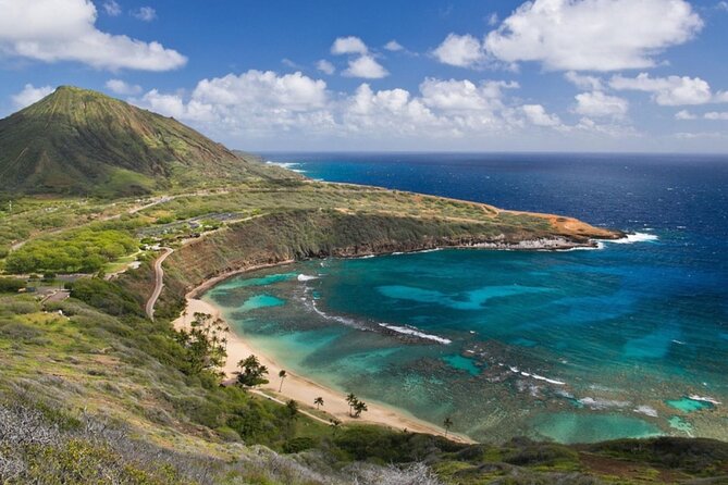 Tour of North Shore & Waimea Waterfall - Diamond Head and Halona Blowhole: The Morning Hits