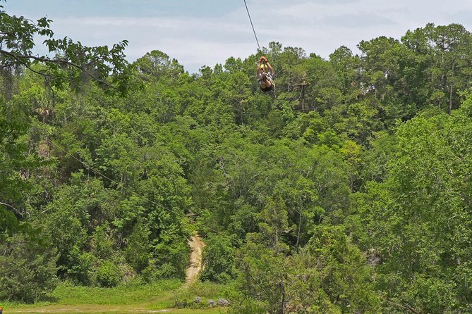 Treetop Express Zip Line Tour with 5 Zip Line Flights & 2 Sky Bridges Included - Treetop Express: Why This Orlando-Area Zip Line Feels Like Strong Value