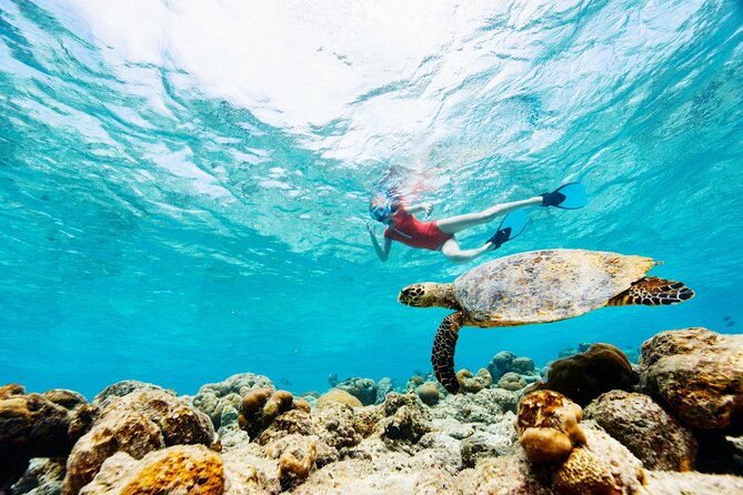 Turtle Canyon Snorkel Adventure - Small Group 6 Passengers - When conditions change: wind and waves can affect your plan