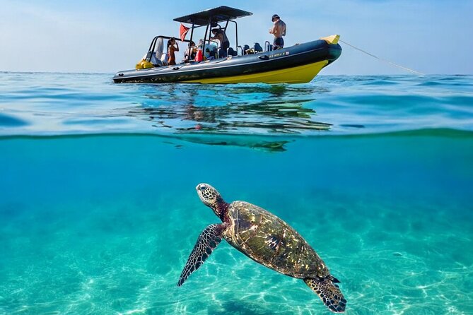 Turtle Canyon Snorkel Adventure - Small Group 6 Passengers - The Waikiki coastline cruise before you enter the water