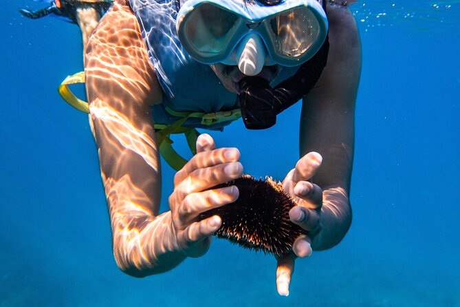 Turtle Canyon Snorkel: Semi Private Boat Tour - Waikiki stop with an ocean view, and why that first hour matters